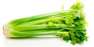 CALIFORNIA CELERY 30 CT #ROCK VALUE-ORDER BY  MONDAY EVENING NOV 19  ARRIVING NOV 27  FOR DELIVERY#