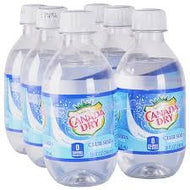 CANADA DRY CLUB SODA 10 OZ