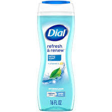 DIAL BODY WASH REFRESH & RENEW SPRING WATER 16 OZ #ROCK VALUE-ORDER BY  MONDAY EVENING NOV 19 ARRIVING NOV 27 FOR DELIVERY#