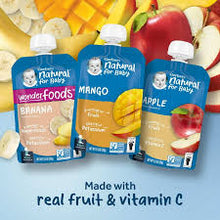 GERBER 2ND FOODS BABY FOOD SINGLE FRUIT FAVORITES MULTIPACK 3.5 OZ POUCHES 9 PK  #ROCK VALUE PRODUCT ORDER BY TUESDAY SEP 16  ARRIVING SEP 24 FOR DELIVERY#