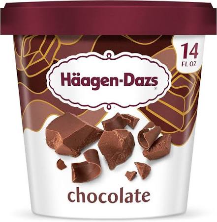 HAAGEN DAZS CHOCOLATE ICE CREAM 14 OZ