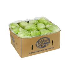 LETTUCE ICEBERG FLORIDA 24-30 CT #ROCK VALUE-ORDER BY  MONDAY EVENING NOV 19  ARRIVING NOV 27  FOR DELIVERY#