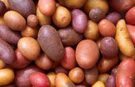 RED POTATOES "A" LARGE 50 LB #ROCK VALUE-ORDER BY  MONDAY EVENING NOV 19  ARRIVING NOV 27  FOR DELIVERY#