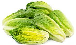 LETTUCE ROMAINE HEART 48 CT #ROCK VALUE-ORDER BY  MONDAY EVENING NOV 19  ARRIVING NOV 27  FOR DELIVERY#