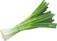 GREEN SCALLION ONIONS 2LB 4 CT #ROCK VALUE-ORDER BY  MONDAY EVENING NOV 19  ARRIVING NOV 27  FOR DELIVERY#