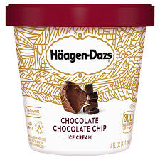 HAAGEN DAZS CHOCOLATE CHOCOLATE CHIP 14 OZ