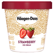 HAAGEN DAZS STRAWBERRY 14 OZ